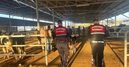 HAYVAN PAZARINDA 'DOLANDIRICILIK' KONTROLÜ