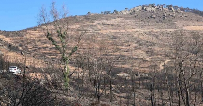 İZMİR'DE BÜYÜK YANGINDAN SONRA DİKKAT ÇEKEN GÖRÜNTÜ
