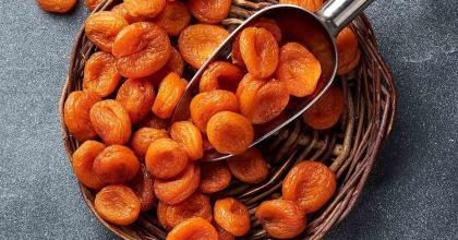 KURU KAYISIDA SEZONUN İLK ÇEYREĞİNDE İHRACAT YÜZDE 12 ARTTI