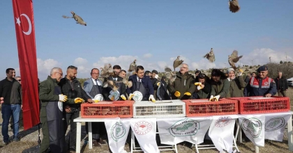 KÜTAHYA’DA YABAN HAYATINA DESTEK