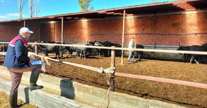 MANDALARA KÜPELEME İŞLEMİ YAPILDI