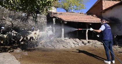 MANİSA’DA ‘MAVİ DİL’ HASTALIĞIYLA MÜCADELEDE EDİLİYOR