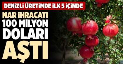 NAR İHRACATI 100 MİLYON DOLARI AŞTI