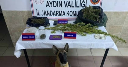 NARKOÇELİK-46 OPERASYONUNDA AYDIN'DA 2 SOKAK SATICISI YAKALANDI