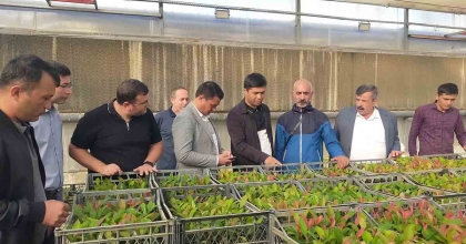 ÖZBEK ÖĞRENCİLERE ÖDEMİŞ'TE MEYVE FİDANCILIĞI EĞİTİMİ