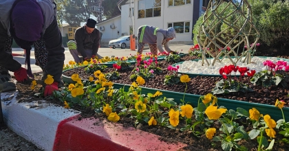 PARK VE BAHÇELERDE KIŞ BAKIMI