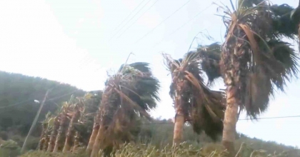 RÜZGÂR VE FIRTINA UYARISI