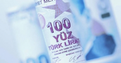 STANDART TL MEVDUATIN PAYI 8 YILIN ZİRVESİNDE