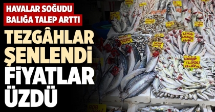 TEZGÂHLAR ŞENLENDİ FİYATLAR ÜZDÜ