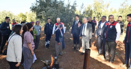 VALİ COŞKUN ZEYTİN HASADINA KATILDI