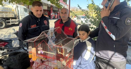 YANGINDA KUŞLARI TELEF OLAN KÜÇÜK KIZA ANLAMLI JEST