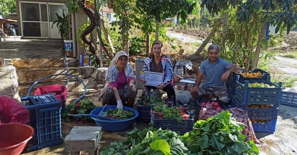  ‘TARLADAN SOFRAYA GÜVENİLİR GIDA’ DENETİMLERİ SÜRÜYOR