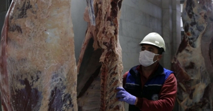 10 YILDA 253 BİN 359 HAYVAN KESİLDİ