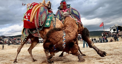 BULDAN’DA DEVELER HASTANE İÇİN GÜREŞTİ