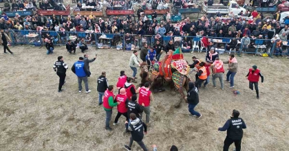 BUHARKENT DEVE GÜREŞLERİ RENKLİ GÖRÜNTÜLERE SAHNE OLDU