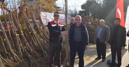 BUHARKENT'TE ÜRETİCİLERE BİN 300 KESTANE FİDANI DAĞITILDI