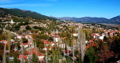 ÇAMELİ'NDEN TAŞINMAZ KİRALAMASI