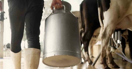 DENİZLİ’DE SOĞUTULMUŞ ÇİĞ SÜT FİYATI BELİRLENDİ