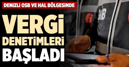 DENİZLİ OSB VE HAL BÖLGESİNDE VERGİ DENETİMLERİ BAŞLADI