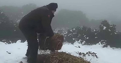 DİLEK YARIMADASI MİLLİ PARKI’NDA DOĞAL YAŞAM İÇİN YEM BIRAKILDI