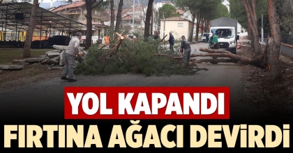 FIRTINA AĞACI DEVİRDİ