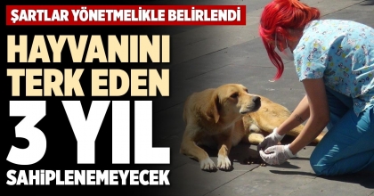 HAYVANINI TERK EDEN 3 YIL SAHİPLENEMEYECEK