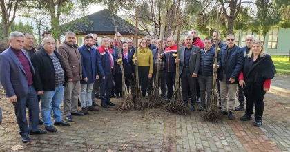 HASTALIKLARA DAYANIKLI KESTANE FİDANLARI ÜRETİCİLERE DAĞITILDI