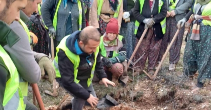 HİSARCIK'TA 43 BİN 300 FİDAN TOPRAKLA BULUŞTU