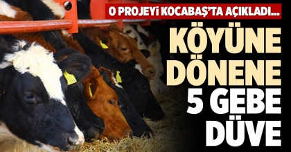 KÖYÜNE DÖNENE 5 GEBE DÜVE