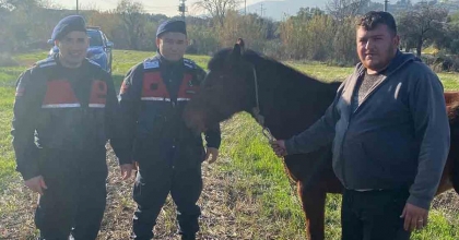 KAYBOLAN RAHVAN ATI, JANDARMA EKİPLERİNCE BULUNDU