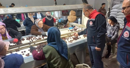 KESTANENİN AYDIN'DAN İHRACAT YOLCULUĞU BAŞLIYOR