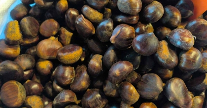 KİLOSU 200 LİRAYI BULAN KESTANE KIŞ MEVSİMİNİN VAZGEÇİLMEZLERİ ARASINDA