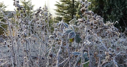 KÜTAHYA'DA KIRAĞI GÜZELLİĞİ