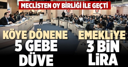 MECLİSTEN OY BİRLİĞİ İLE GEÇTİ