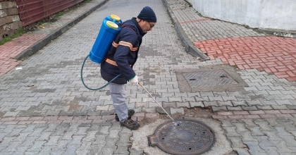 NAZİLLİ BELEDİYESİ'NDEN 12 AY BOYUNCA LARVA MÜCADELESİ