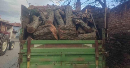 ORMANDA AĞAÇ KESEN ŞÜPHELİ YAKALANDI