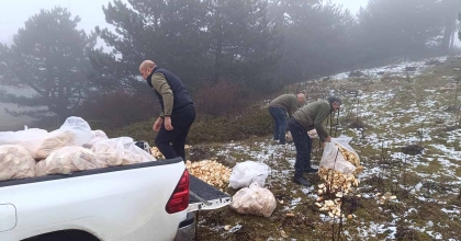 SPİL'DE YABAN HAYATI UNUTULMADI