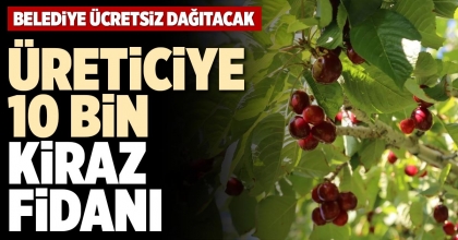 ÜRETİCİYE 10 BİN KİRAZ FİDANI
