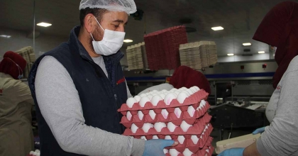 YUMURTA FİYATLARINDAKİ ARTIŞ