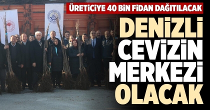 DENİZLİ CEVİZİN MERKEZİ OLACAK