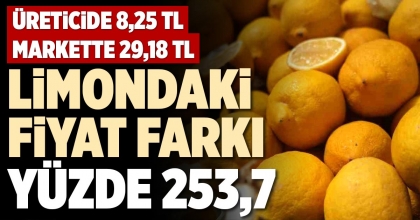 LİMONDAKİ FİYAT FARKI YÜZDE 253,7