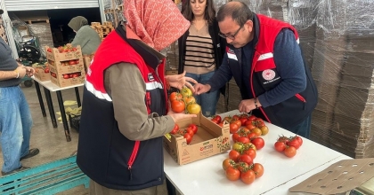 23 ÜLKEYE 8 BİN 700 TON DOMATES İHRACATI GERÇEKLEŞTİRİLDİ