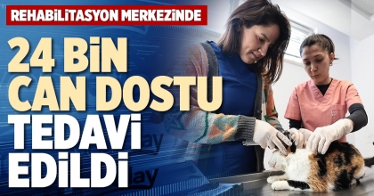 24 BİN CAN DOSTU TEDAVİ EDİLDİ