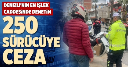 250 SÜRÜCÜYE CEZA