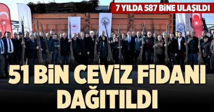 51 BİN CEVİZ FİDANI DAĞITILDI