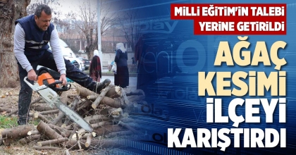 AĞAÇ KESİMİ İLÇEYİ KARIŞTIRDI