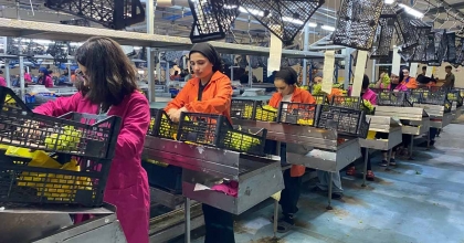 ALAŞEHİR GÜMRÜĞÜNDEN 69 ÜLKEYE İHRACAT