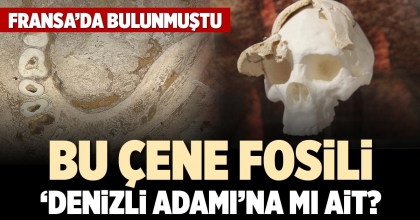 BU ÇENE FOSİLİ ‘DENİZLİ ADAMI’NA MI AİT?