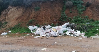 BODRUM'DA ÇEVRE KATLİAMINA 70 BİN TL CEZA