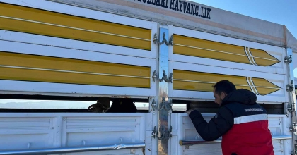 ÇAVDARHİSAR’DA KAÇAK VE BELGESİZ HAYVAN HAREKETLERİ KONTROLÜ